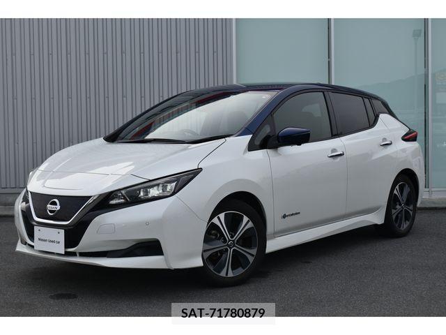 Nissan LEAF 2020-08 218604-0