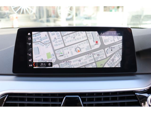 Bmw 5 SERIES 2017-01 1295-8