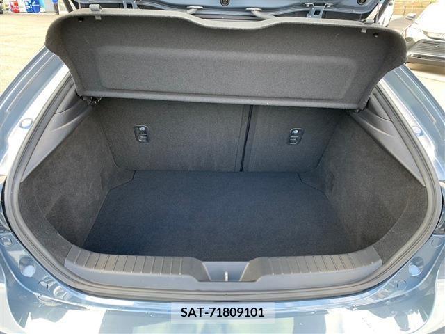 Mazda MAZDA3 2019-08 223879-5