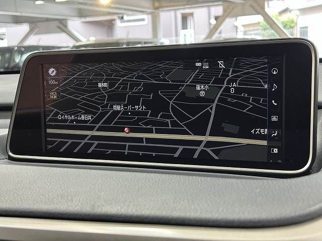 Lexus RX 2016-06 10018-2
