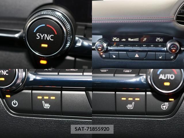 Mazda MAZDA3 2021-10 301070-17