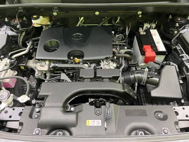 Toyota RAV4 2019-11 195302-18