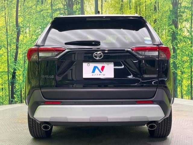 Toyota RAV4 2019-11 195302-15