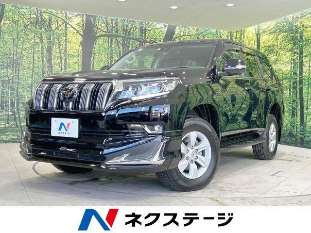 Toyota PRADO 2021-09 188584-0