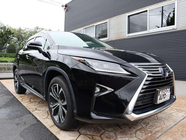 Lexus RX 2017-11 10291-2