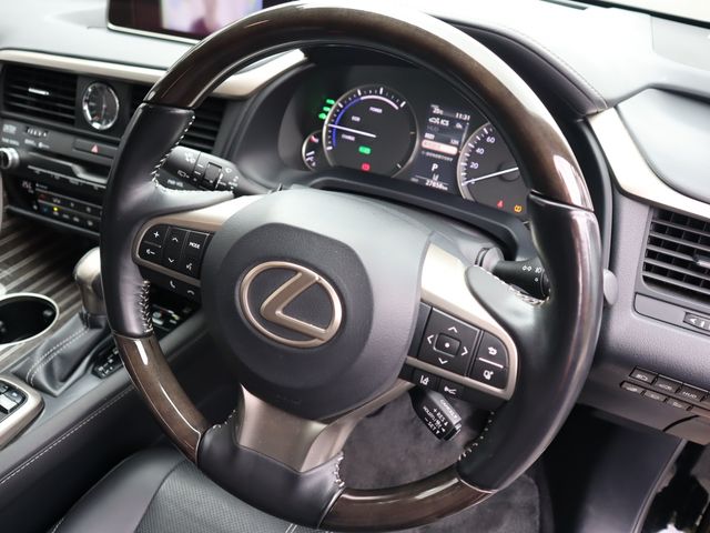 Lexus RX 2017-11 10291-12