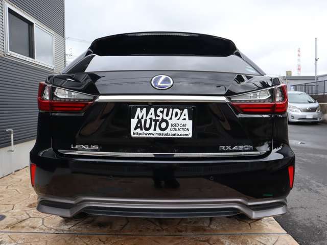 Lexus RX 2017-11 10291-5
