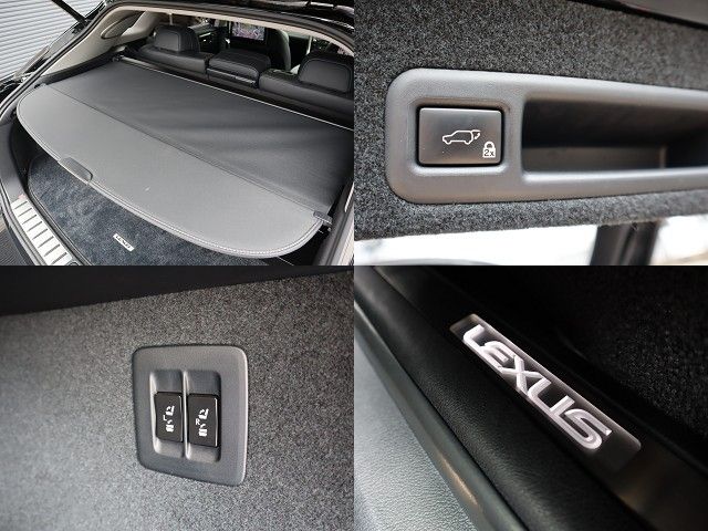 Lexus RX 2017-11 10291-23