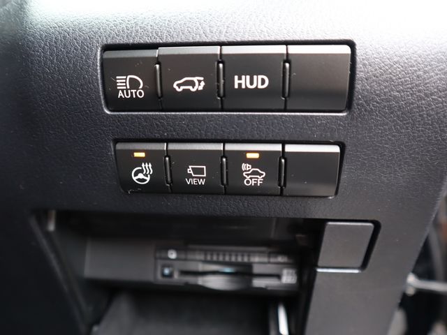 Lexus RX 2017-11 10291-19