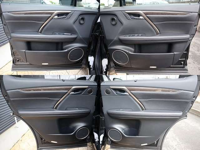 Lexus RX 2017-11 10291-25