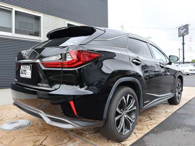 Lexus RX 2017-11 10291-6