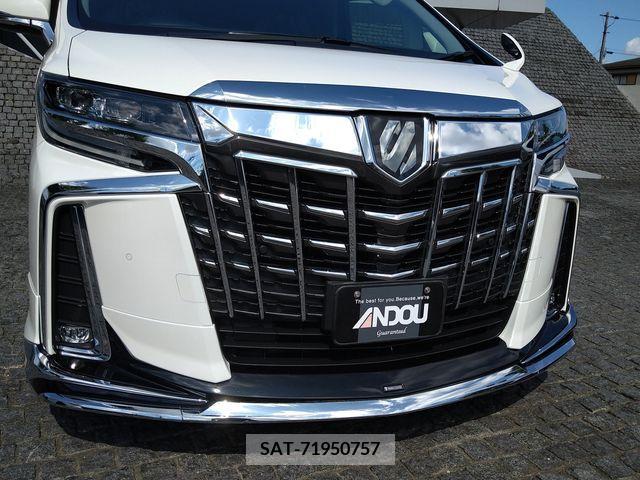 Toyota ALPHARD 2018-02 395504-4