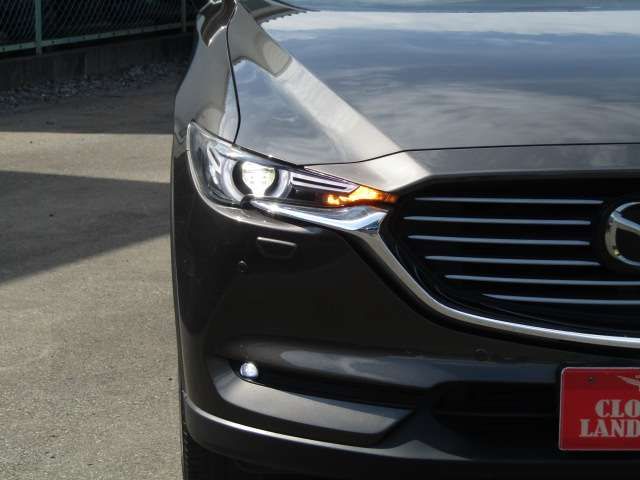 Mazda CX-8 2020-05 10932-6