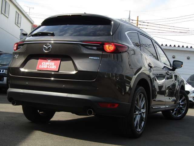 Mazda CX-8 2020-05 10932-2