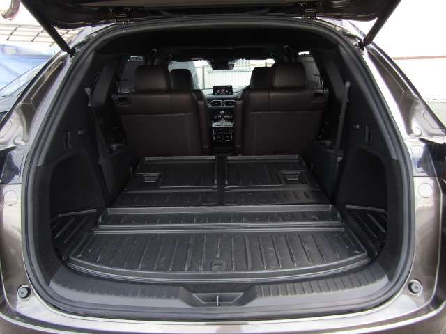 Mazda CX-8 2020-05 10932-8