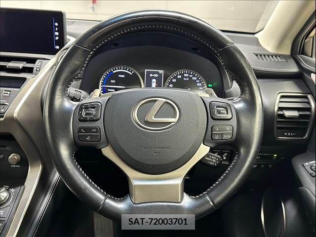 Lexus NX 2018-01 300550-12