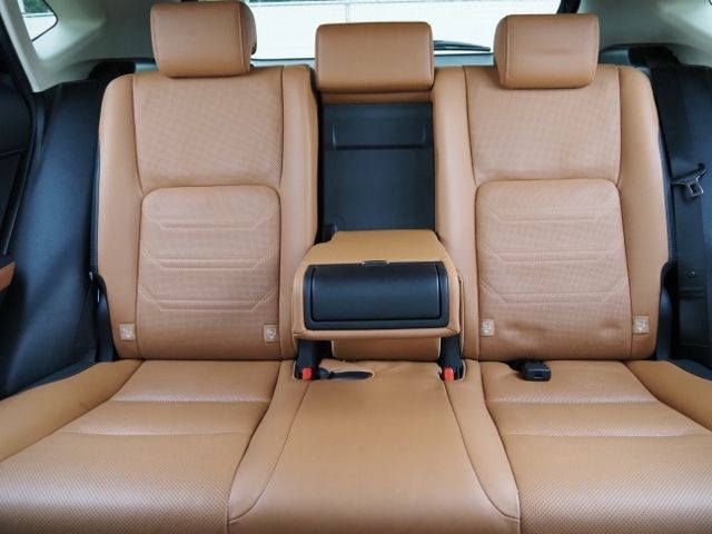 Lexus NX 2020-11 183162-12
