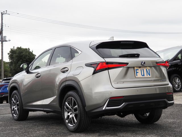 Lexus NX 2020-11 183162-5