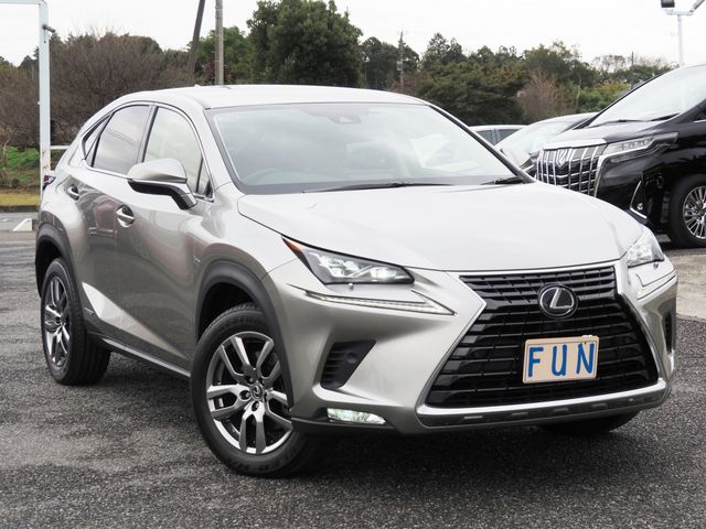 Lexus NX 2020-11 183162-2