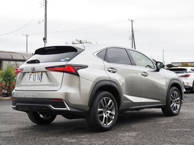 Lexus NX 2020-11 183162-4
