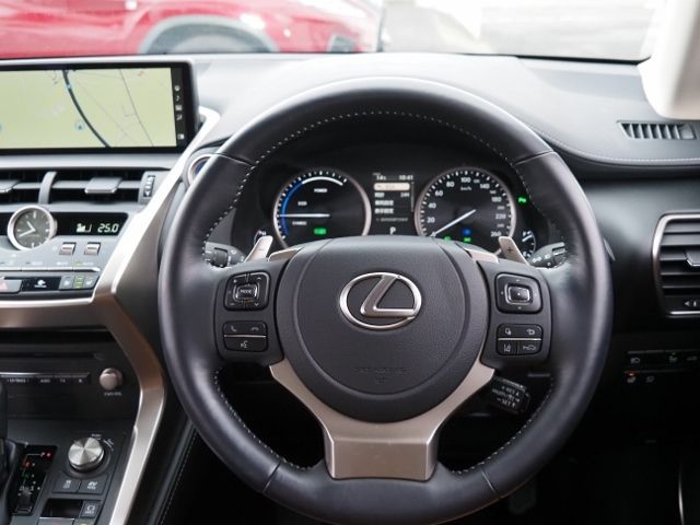 Lexus NX 2020-11 183162-18