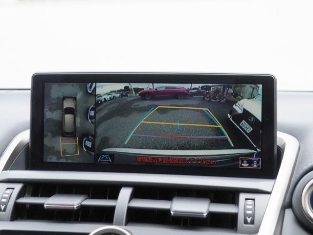 Lexus NX 2020-11 183162-21
