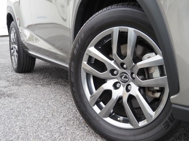 Lexus NX 2020-11 183162-8