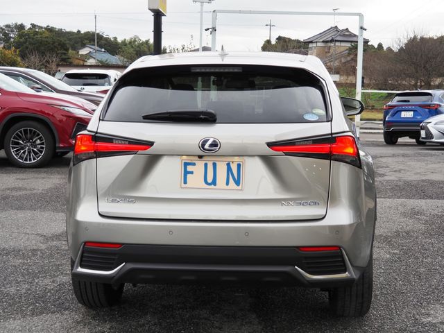 Lexus NX 2020-11 183162-6