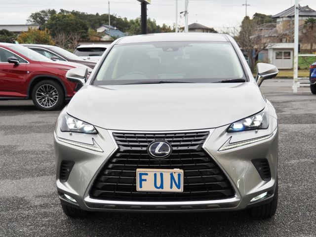 Lexus NX 2020-11 183162-1