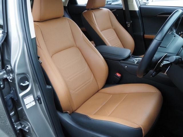Lexus NX 2020-11 183162-10