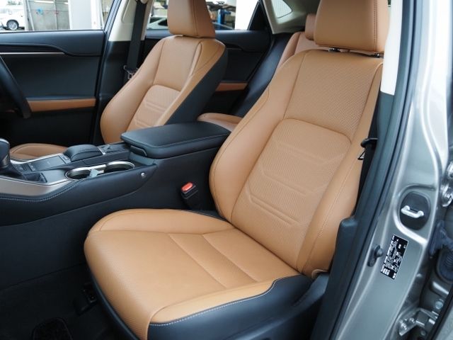 Lexus NX 2020-11 183162-11