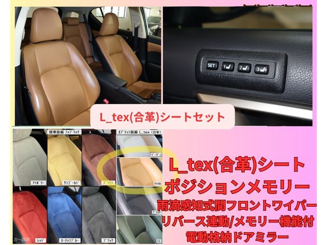 Lexus CT 2014-01 193969-19