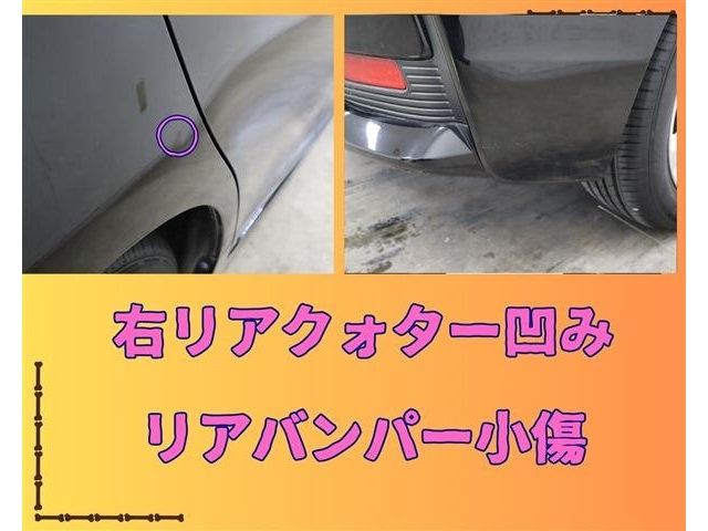 Lexus CT 2014-01 193969-29