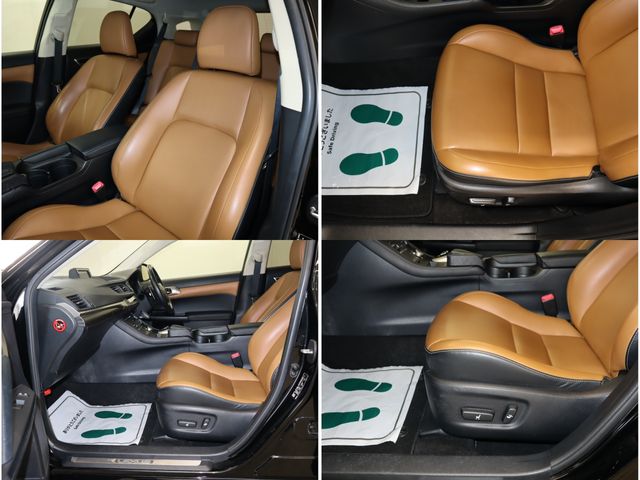 Lexus CT 2014-01 193969-21