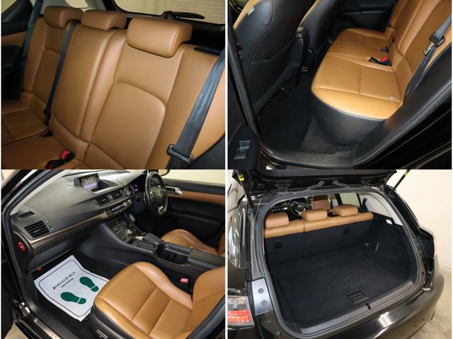 Lexus CT 2014-01 193969-22
