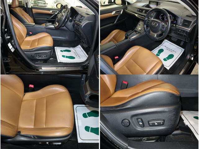 Lexus CT 2014-01 193969-20