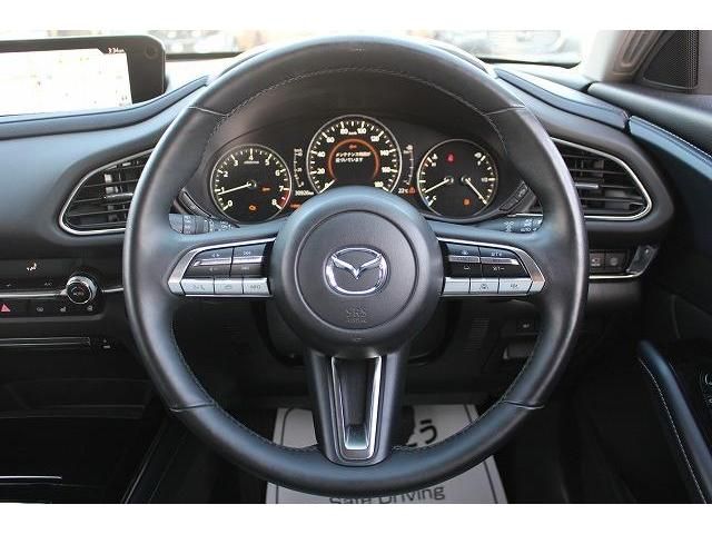 Mazda CX-30 2020-03 182660-14