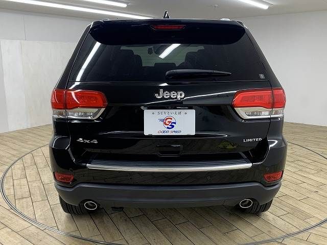 Jeep GRAND CHEROKEE 2017-04 13380-12