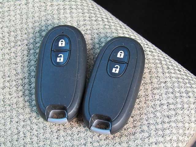 Suzuki LAPIN 2020-09 10254-23