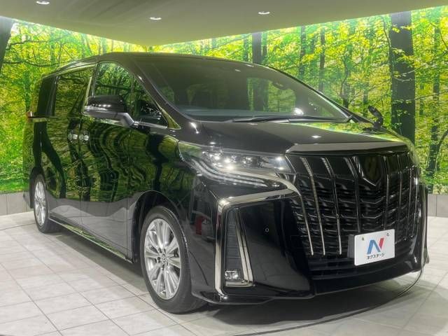 Toyota ALPHARD 2020-10 189545-17
