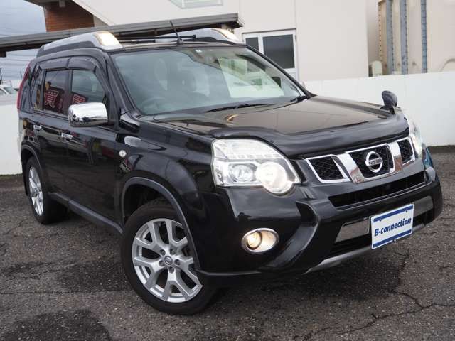 Nissan X-TRAIL 2012-03 195223-9