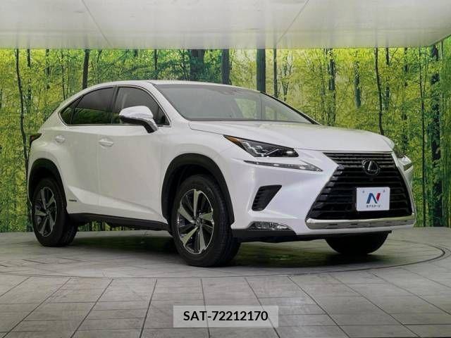 Lexus NX 2018-03 354248-16