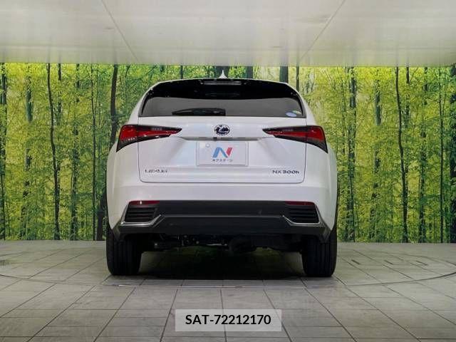 Lexus NX 2018-03 354248-15