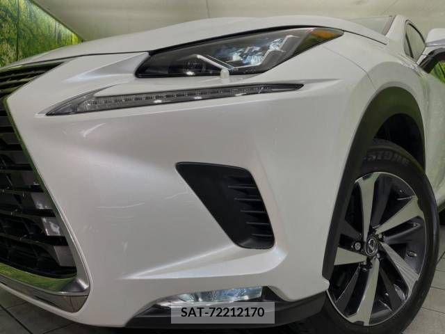 Lexus NX 2018-03 354248-12