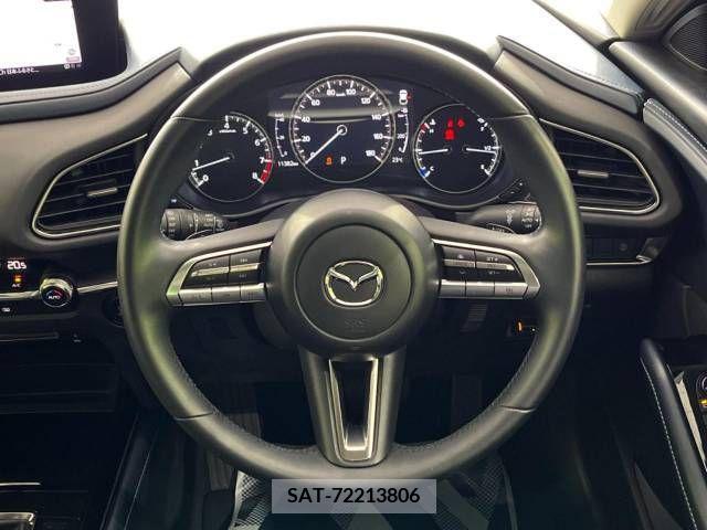 Mazda CX-30 2020-07 265567-11