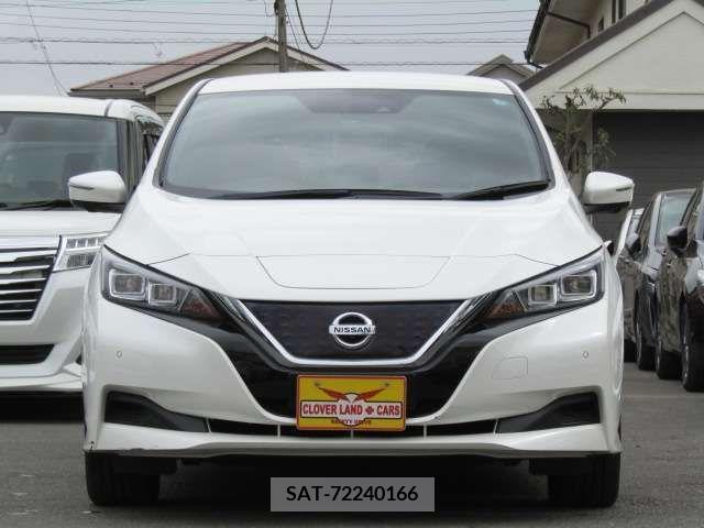 Nissan LEAF 2018-11 224242-2