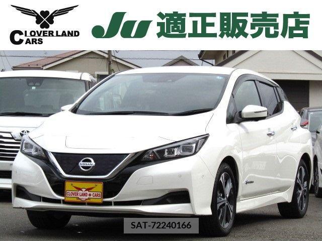 Nissan LEAF 2018-11 224242-0