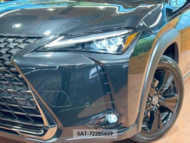 Lexus UX 2021-07 218138-12