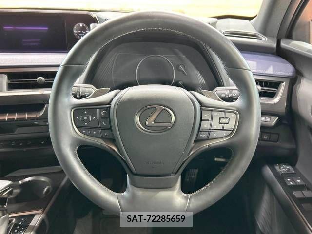 Lexus UX 2021-07 218138-11