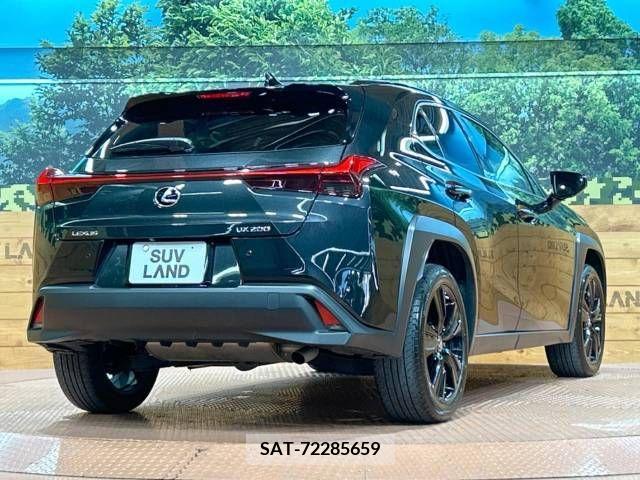 Lexus UX 2021-07 218138-17
